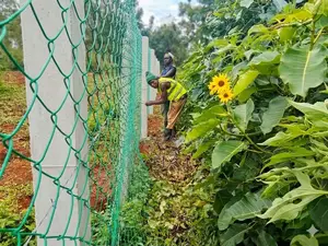 PVC-Coated Chain-Link Fencing Services