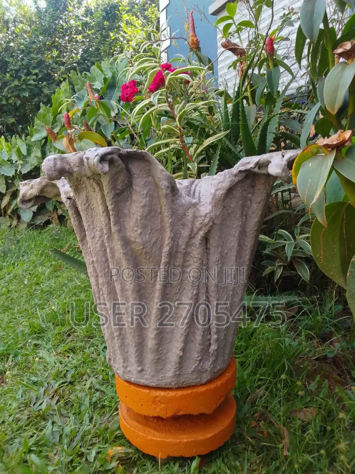 Salmon's Events And Backyard Ideas