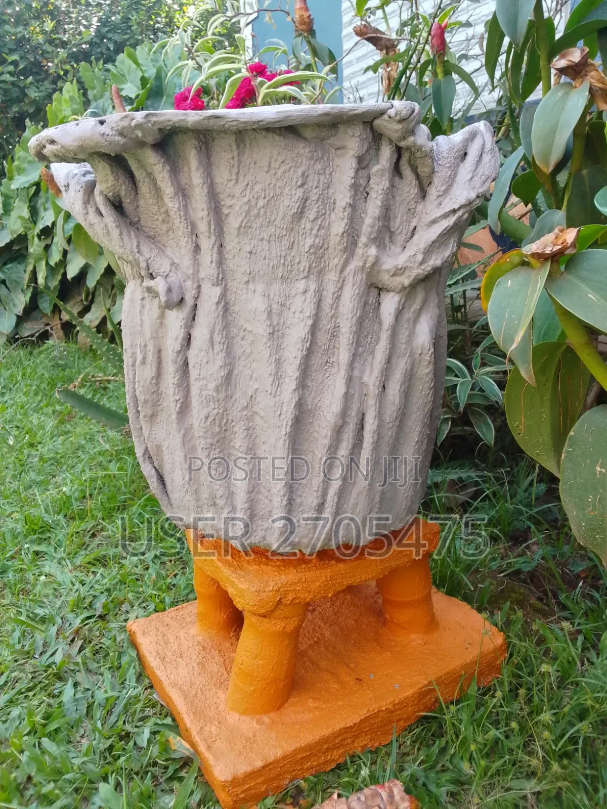 Salmon's Events And Backyard Ideas