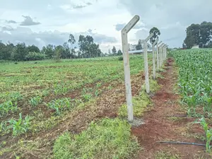 Plot | Land Marking | Concrete Pole Erection Services