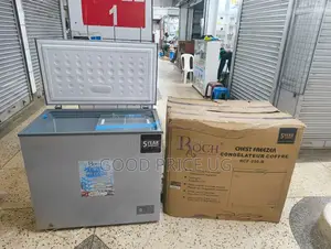 Roch RCF-250-B Chest Freezer