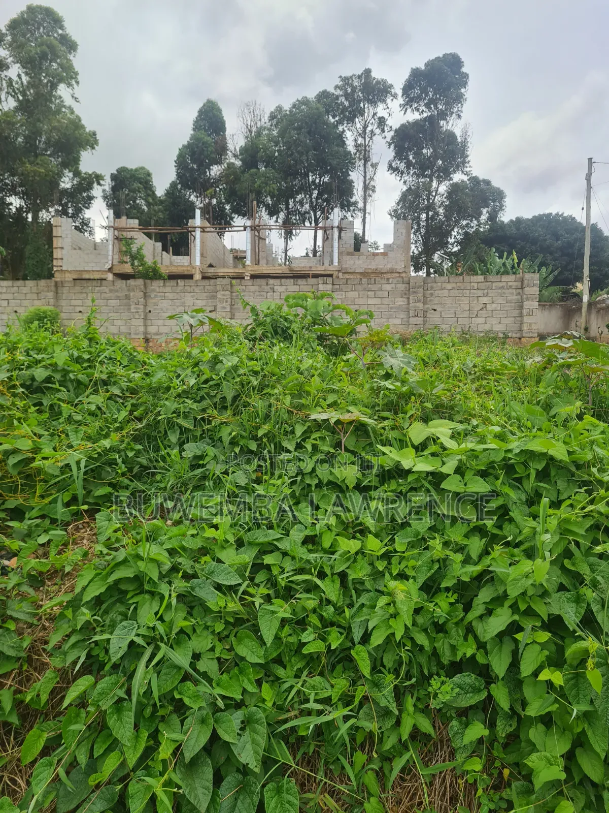Land for Sale Title in Gayaza Kiwenda Bupai 50x100