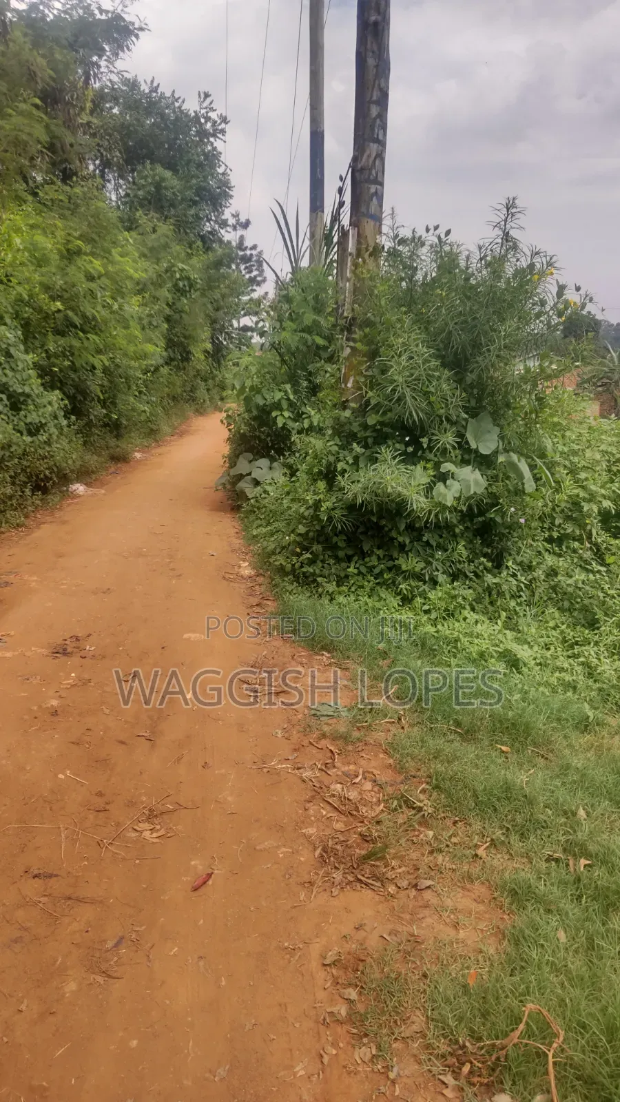 Land 4 Sale From 5m With and Title