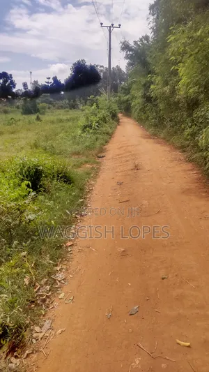 Land 4 Sale From 5m With and Title
