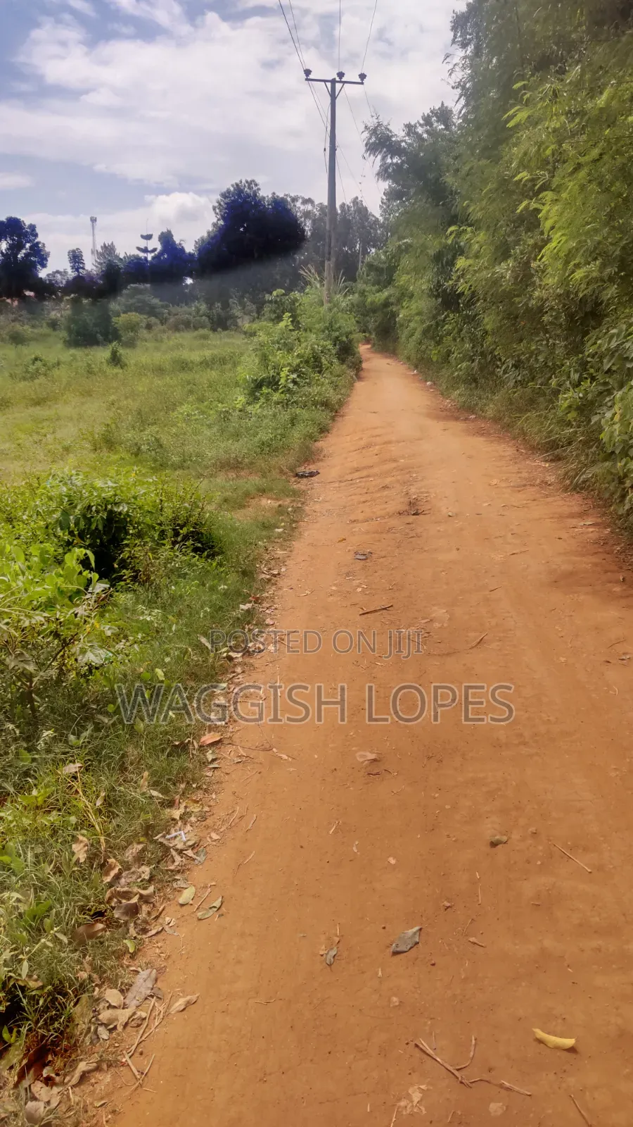 Land 4 Sale From 5m With and Title