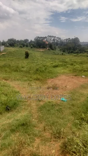 Land 4 Sale From 5m With and Title