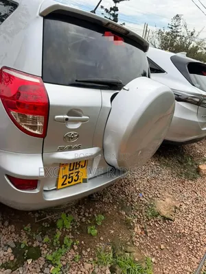 Toyota RAV4 2009 Silver