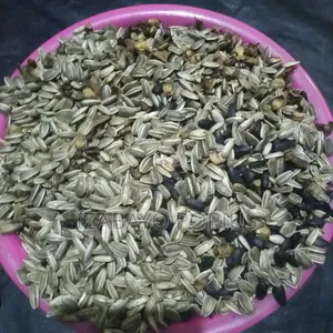 Sunflower Seeds