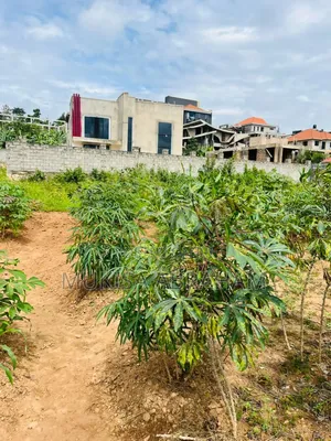50by50 Plot for Sell in Gayaza