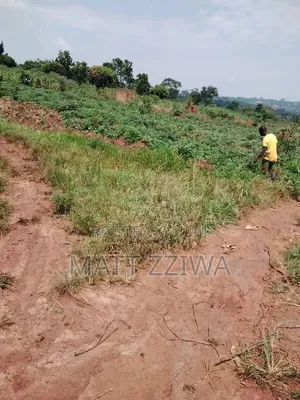 50 by 100 Land Plots in Kasanjye, Nakawuka