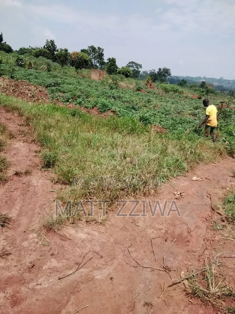 50 by 100 Land Plots in Kasanjye, Nakawuka