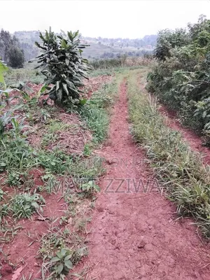 50 by 100 Land Plots in Kasanjye, Nakawuka