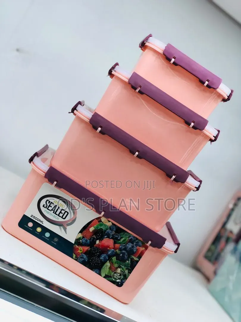 Big 2500mls Plastic Food Storage Containers