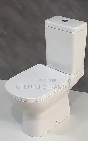 Cheap Toilet Seat