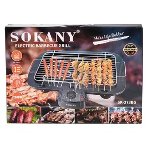 Electric Barbecue Grill