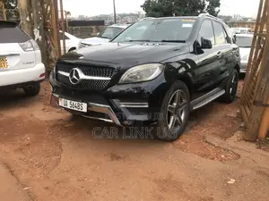 Mercedes-Benz M Class 2015 Black