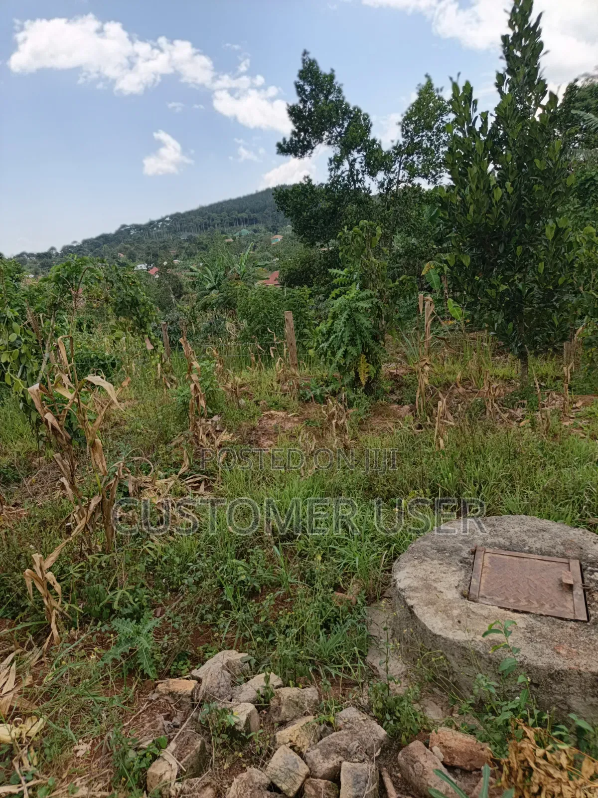 2.83 Titled Acres Nkokonjeru Town