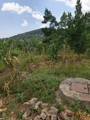 2.83 Titled Acres Nkokonjeru Town
