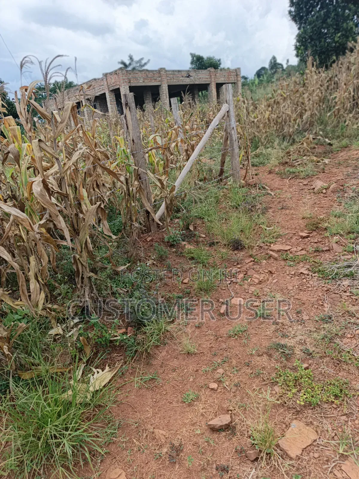 2.83 Titled Acres Nkokonjeru Town