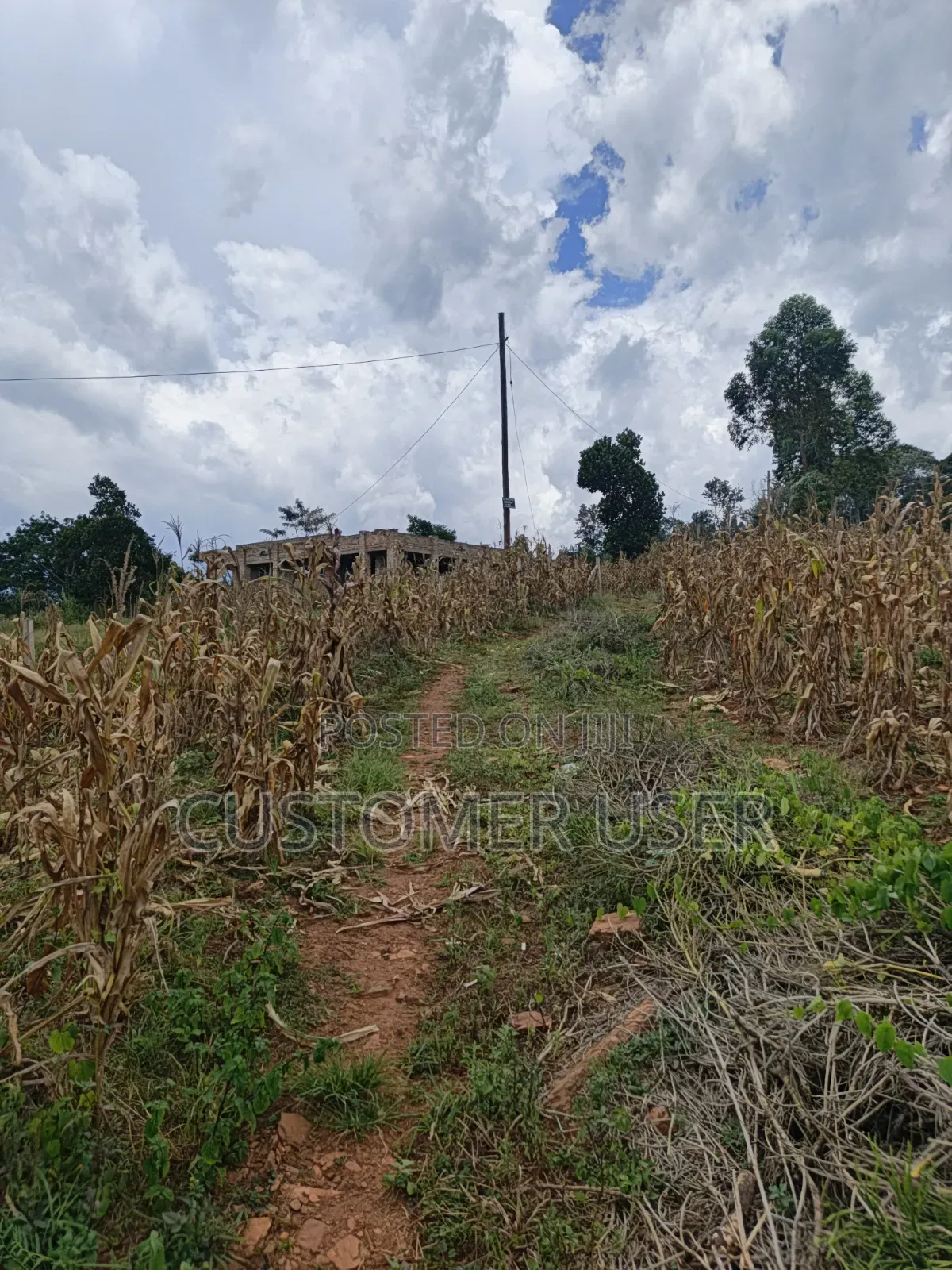2.83 Titled Acres Nkokonjeru Town