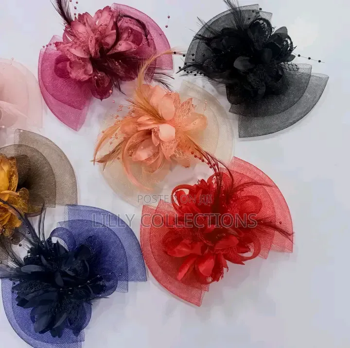 Beautiful Hair Fascinators