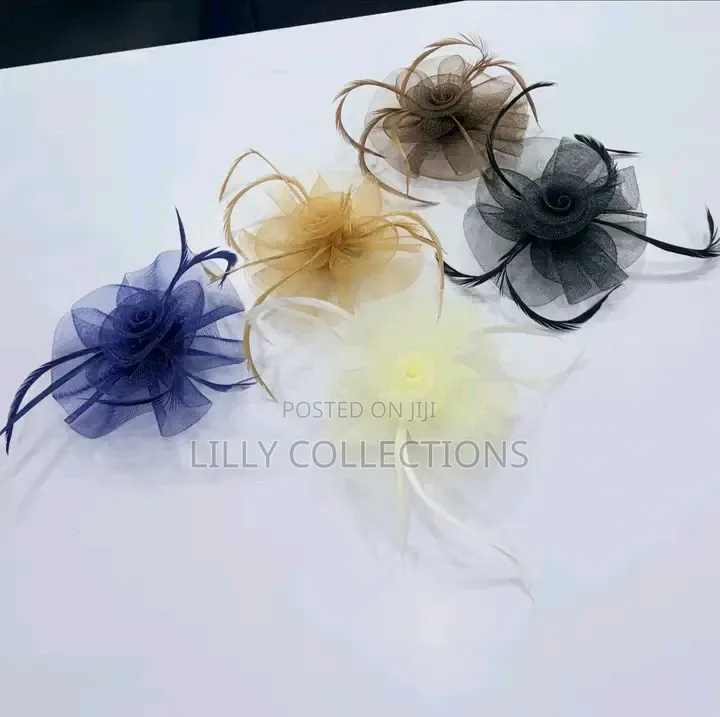 Beautiful Hair Fascinators