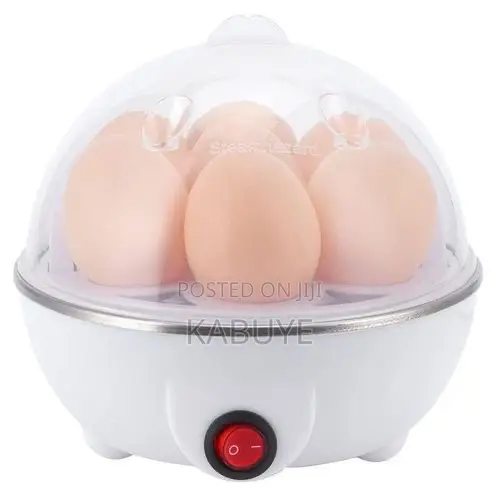Electric Egg Boiler