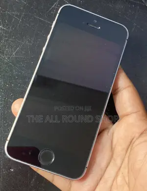 Apple iPhone SE 16 GB Gray