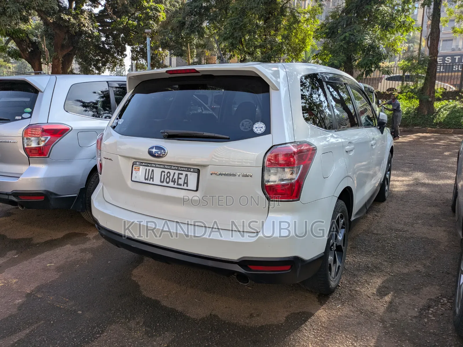 Subaru Forester 2015 Pearl