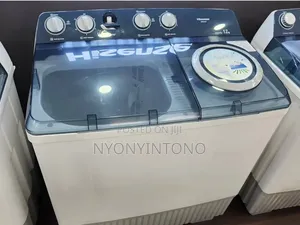 Hisense 12kg Twin Tub Washing Machine