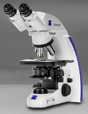 Zeiss Microscope