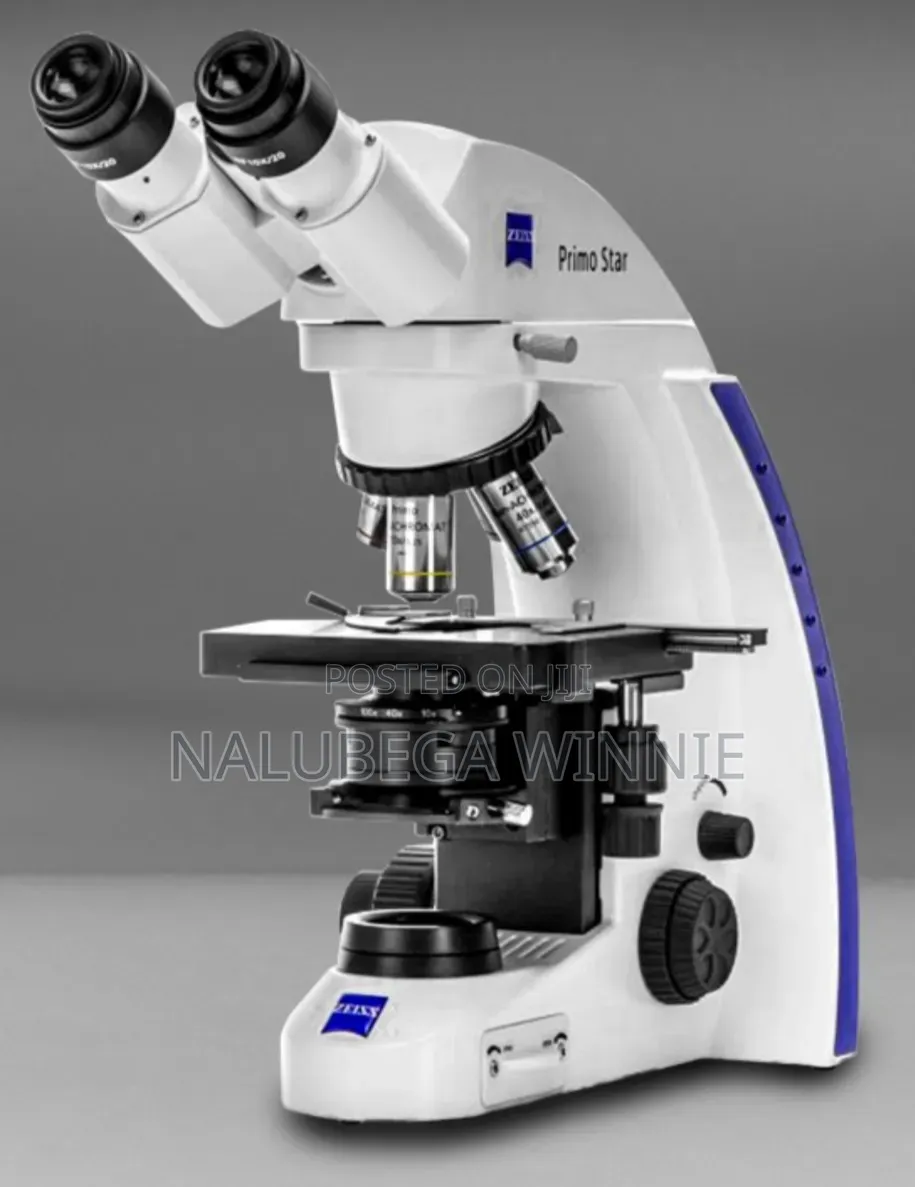 Zeiss Microscope