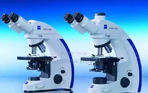 Zeiss Microscope