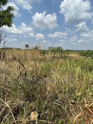 Land for Sale in Gulu