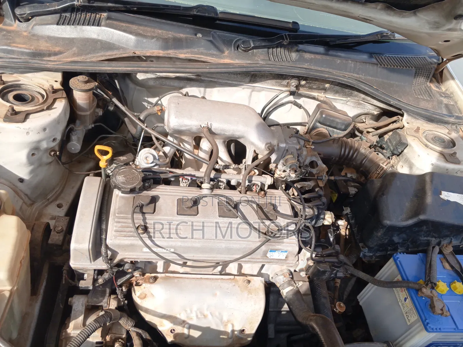 Toyota Corolla Hatchback 2000 White