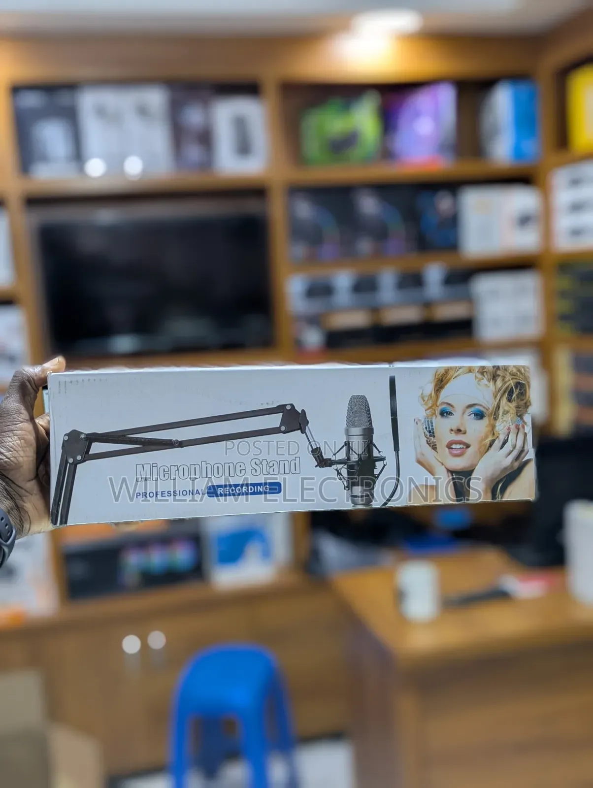 Professional Microphone Stand