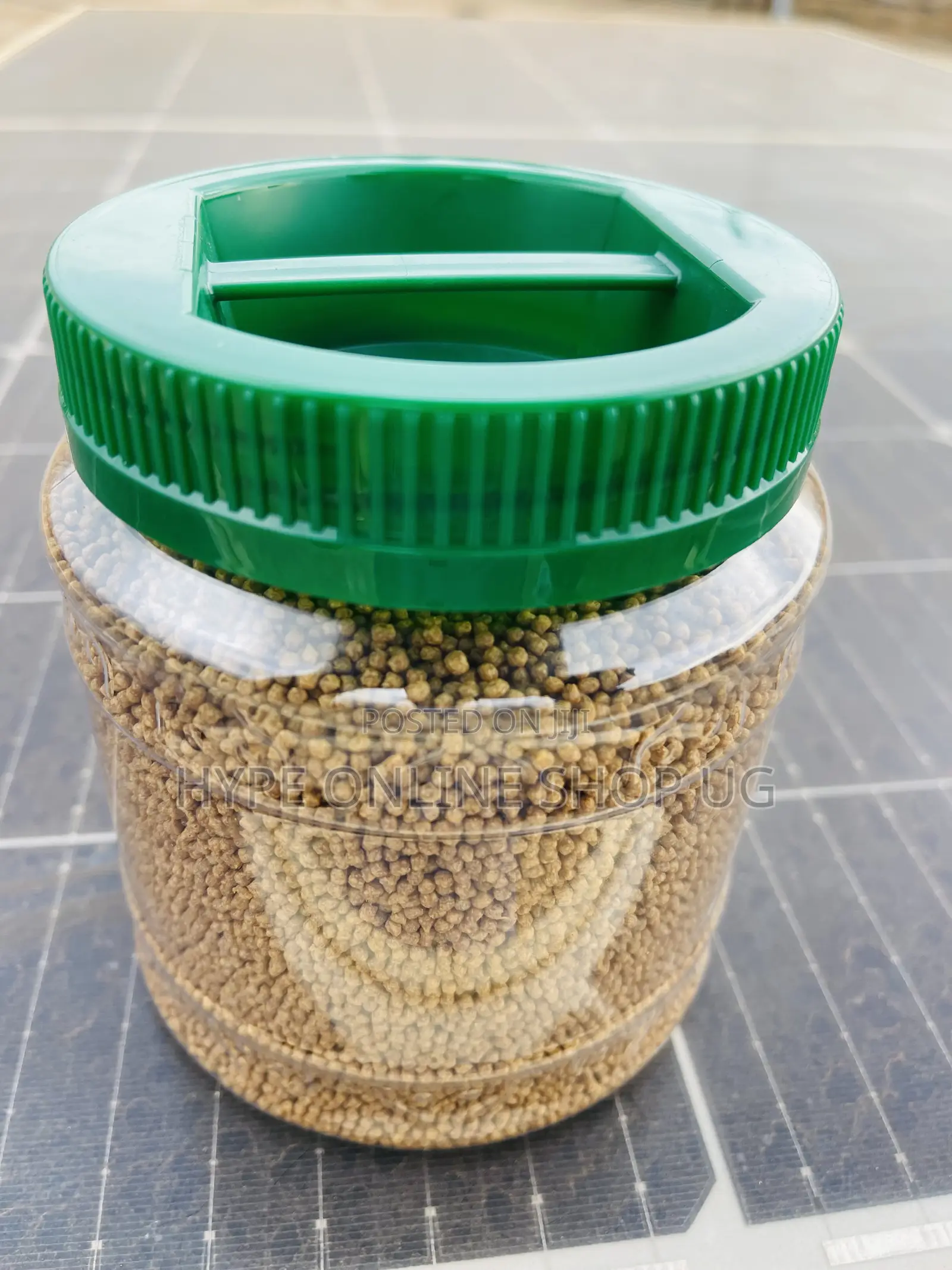 Suitable Feeds for Aquarium Fish