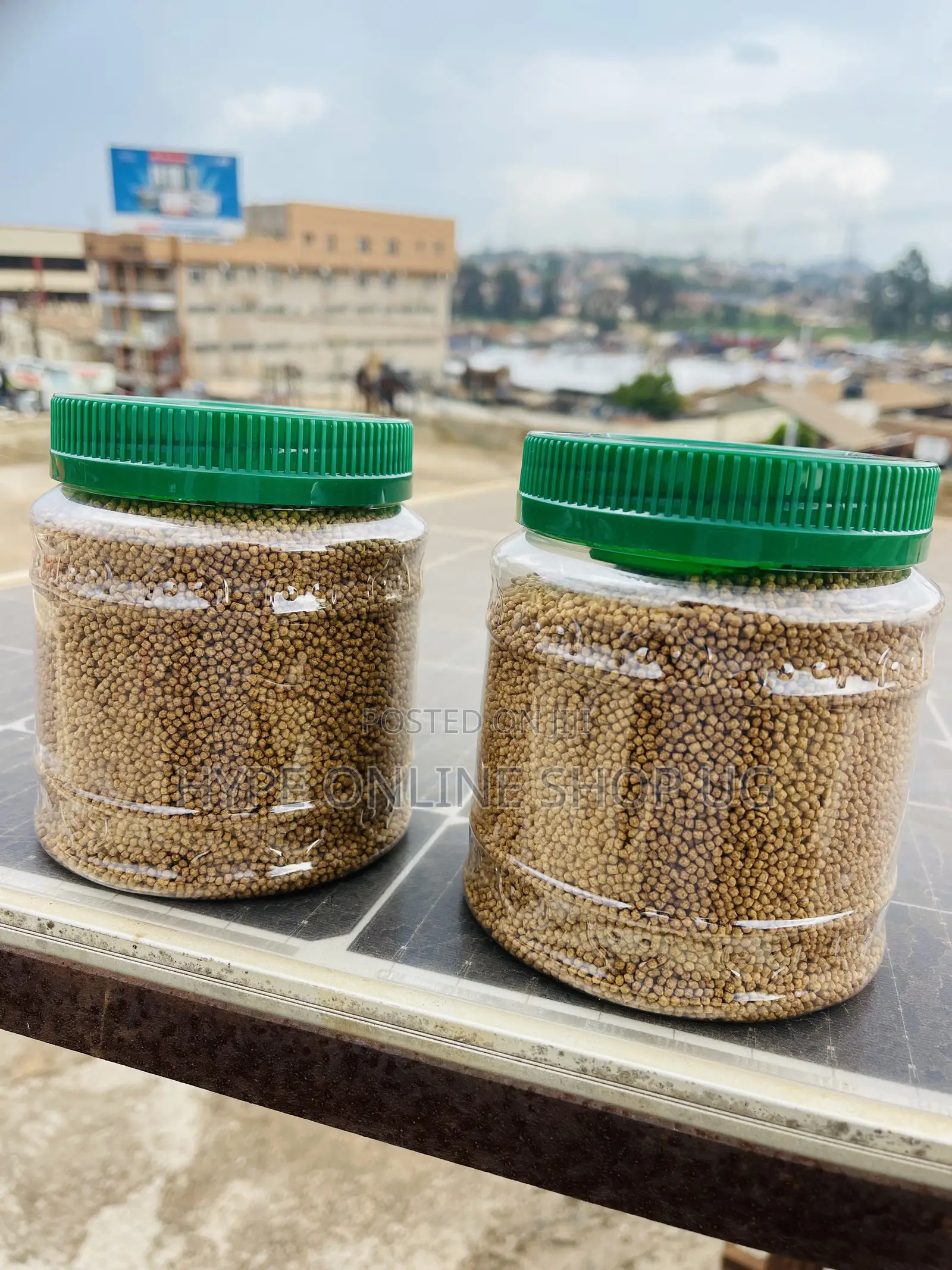 Nutritious Fish Aquarium Fish Feeds