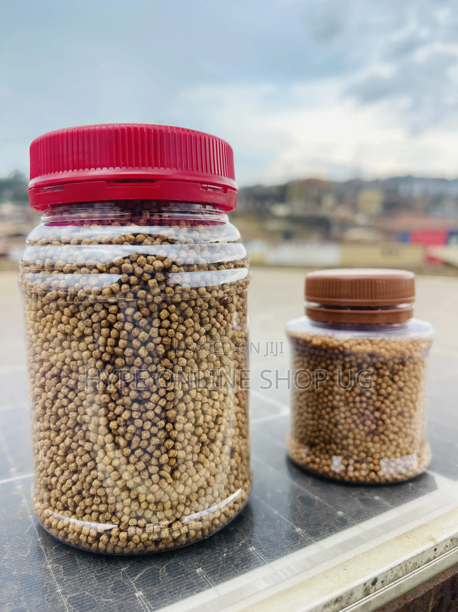 Faster Weight Grow Feeds for Aquarium Fish