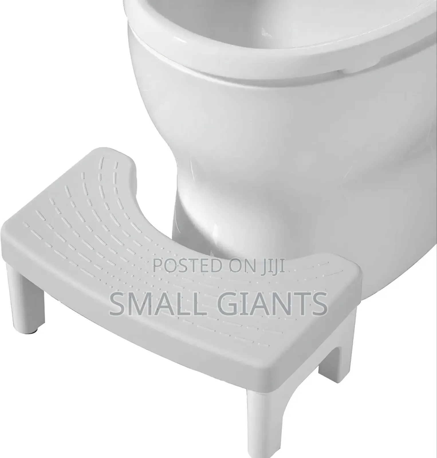 Squatty Toilet Step Stool