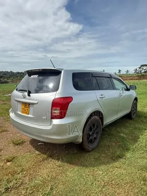 Toyota Corolla Fielder 2008 Silver