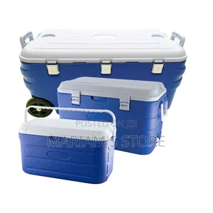 Insulated Cooler Box With A White Lid. [1, 2]
