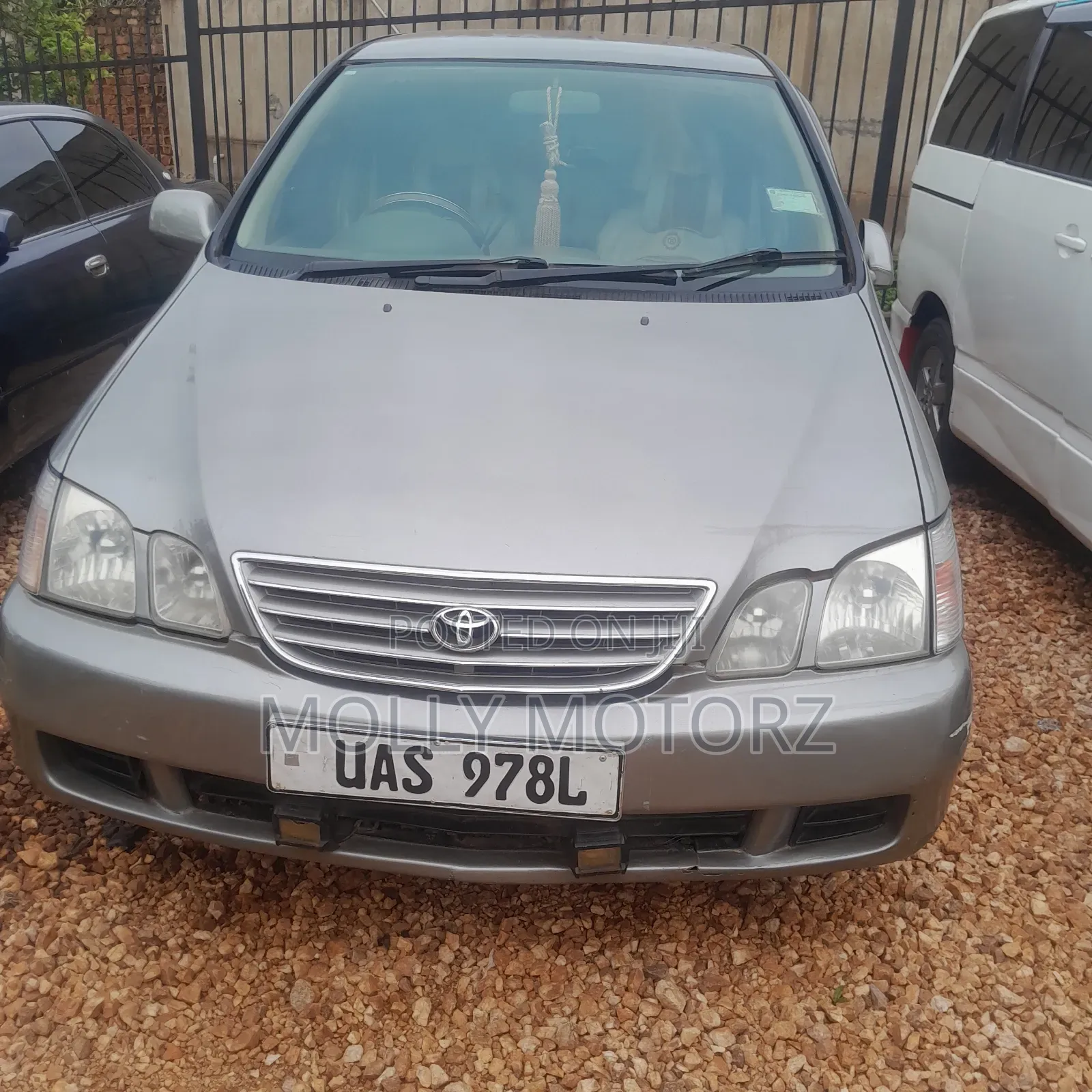 Toyota Gaia 2008 Brown