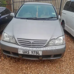 Toyota Gaia 2008 Brown