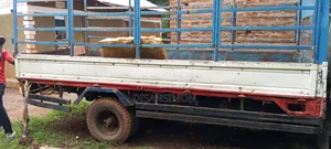 Isuzu Elf Double Light With 4be1 Engine on Sale