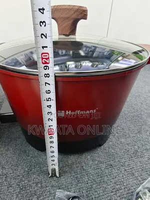 9l Hoffmans 1600w Electric Hot Pot Non-Stick Cook Pot Multi-Functional