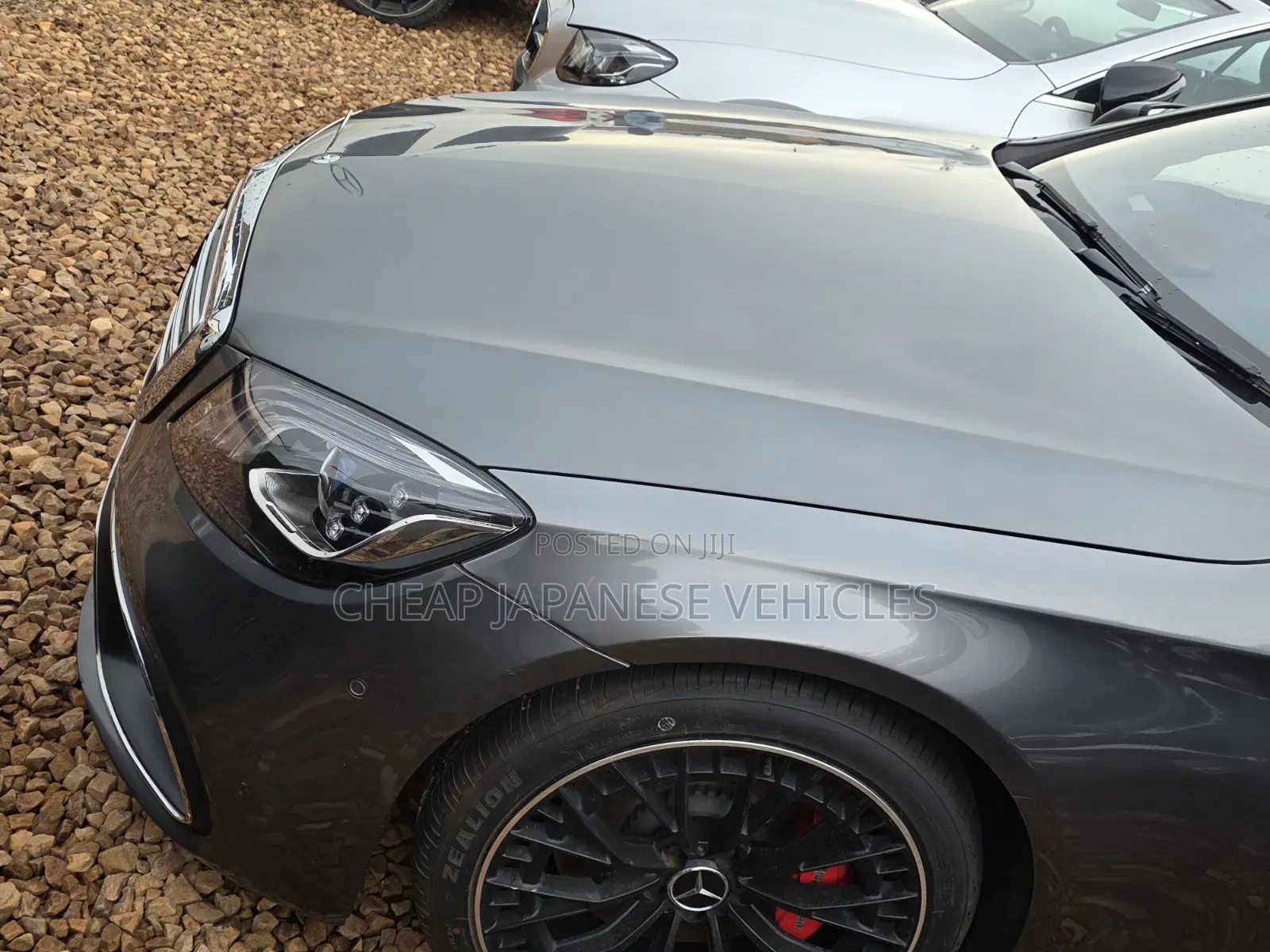 Mercedes-Benz S-Class S 560 L (V222) 2020 Gray