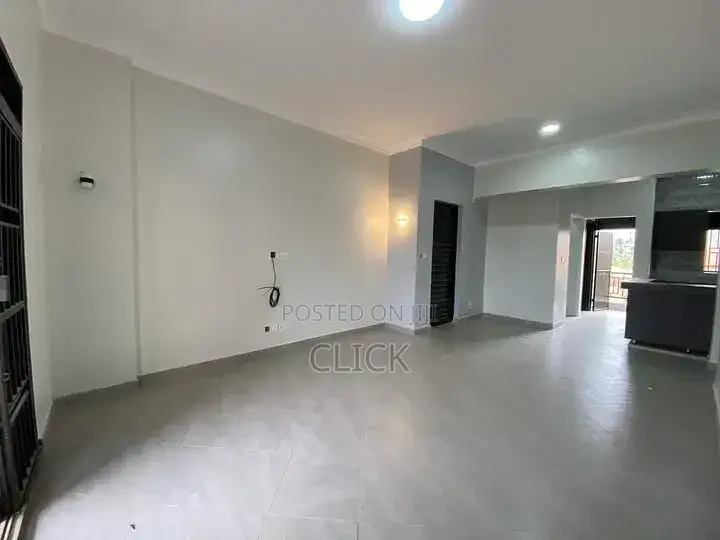 2bdrm Apartment in Buziga, Makindye for rent