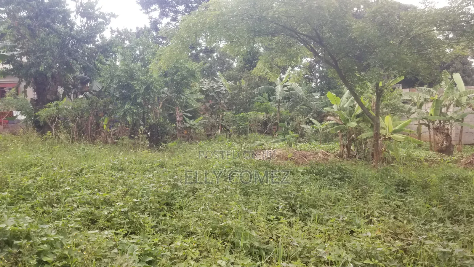 60by 40 Land for Sell in Kitagobwa After Kitezzi Buwambo Road