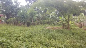 60by 40 Land for Sell in Kitagobwa After Kitezzi Buwambo Road